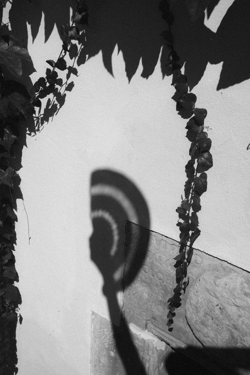 casamiento de marta 2